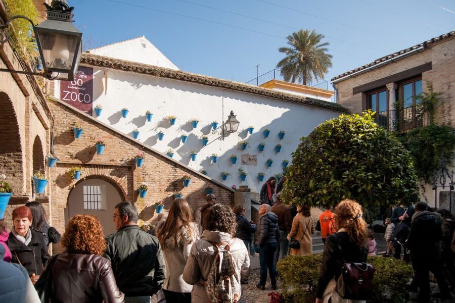 Cordoba: Jewish Quarter and Mosque-Cathedral Guided Tour - What the guides add to the experience