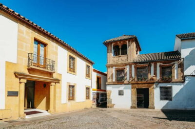 Jewish Quarter, Mosque, and Alcázar Tour