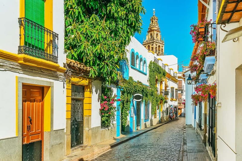 Córdoba: Jewish Quarter, Mosque, and Alcázar Tour - Who will get the most from this tour?