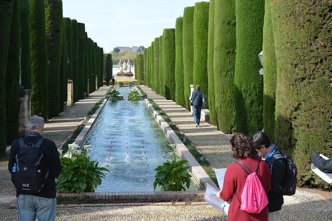 Cordoba Monuments Intensive Tour in English Tickets included - What you get for $66.54