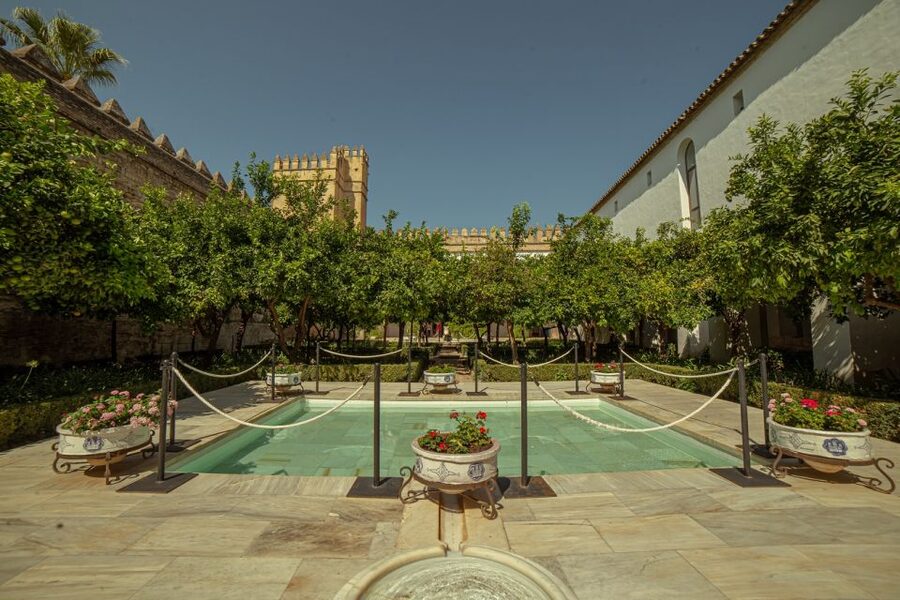 Córdoba: Mosque-Cathedral and Alcazar Tour - The guide can make or break the experience