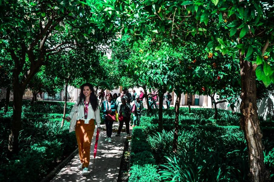 Córdoba: Mosque-Cathedral and Alcazar Tour - Is $52 a fair price?