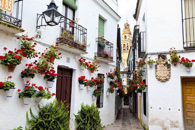 Cordoba Mosque-Cathedral & City Private Tour - A private group changes the pace