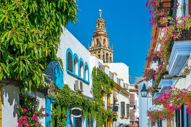 Cordoba Mosque-Cathedral & City Private Tour - What the guides add to the experience