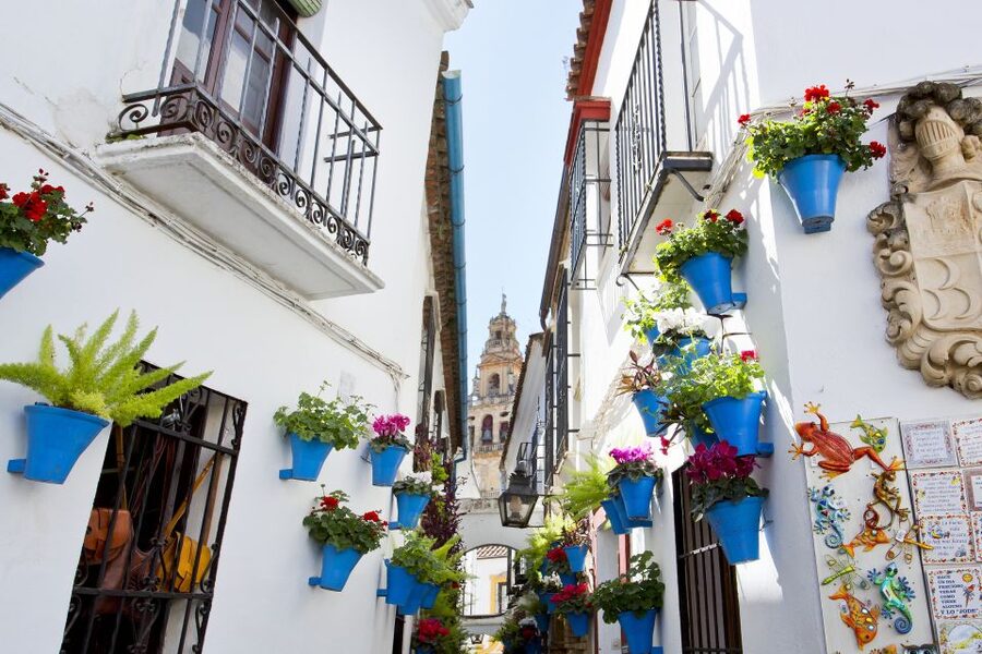 Cordoba Mosque & Jewish Quarter Tour with Tickets - Key points at a glance