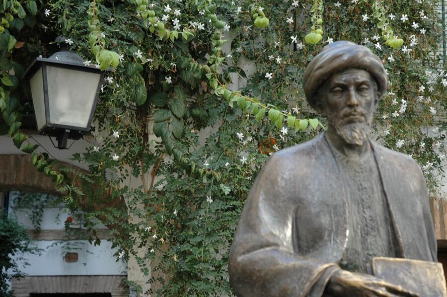 Cordoba Mosque & Jewish Quarter Tour with Tickets - Who will get the most from this tour