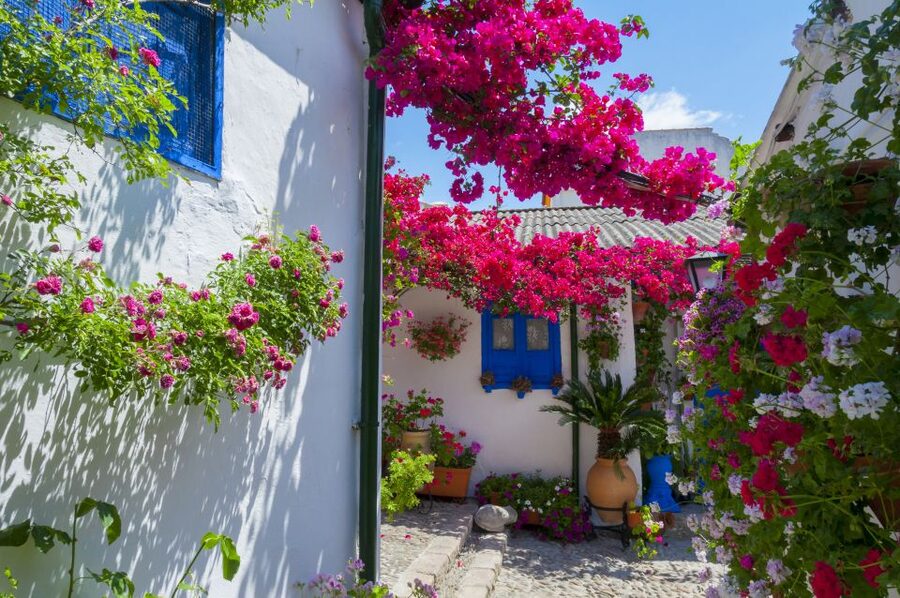 Cordoba's Authentic Patios: 2-Hour Tour with Tickets - Key points at a glance