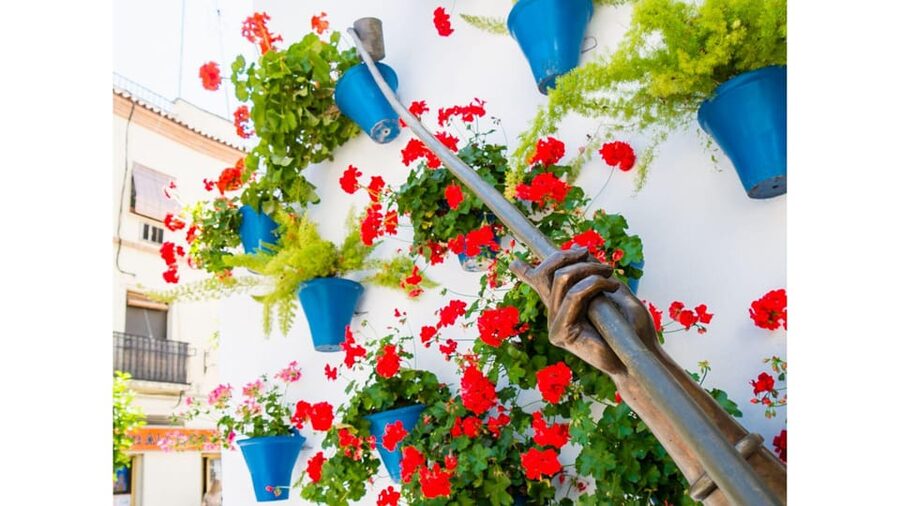 Cordoba's Authentic Patios: 2-Hour Tour with Tickets - Why Córdoba’s patios are worth your time