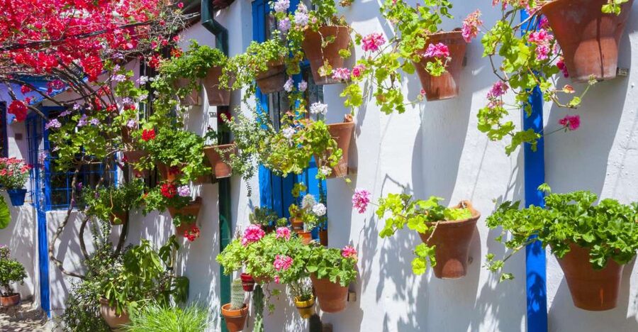 Cordoba's Authentic Patios: 2-Hour Tour with Tickets - Walking through Alcázar Viejo and San Basilio