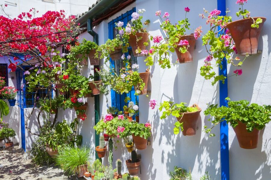 Cordoba's Authentic Patios: 2-Hour Tour with Tickets - Entering five private courtyards