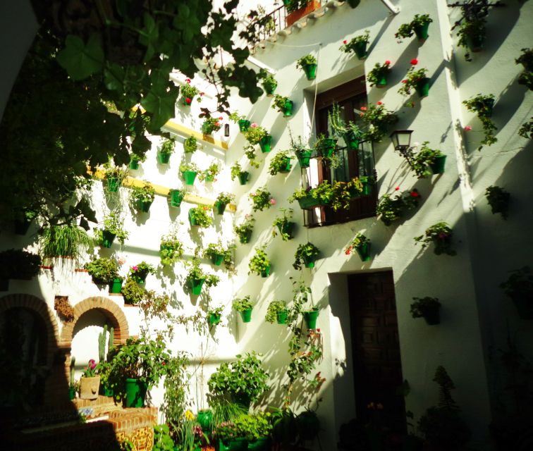Cordoba's Authentic Patios: 2-Hour Tour with Tickets - What you pay for at $21