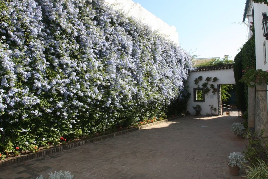 Córdoba: Viana Palace Gardens and Patios Entry Ticket - Key points to know before you go