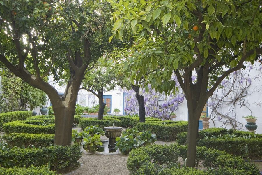 Córdoba: Viana Palace Gardens and Patios Entry Ticket - Why Viana Palace is different from Córdoba’s other patios