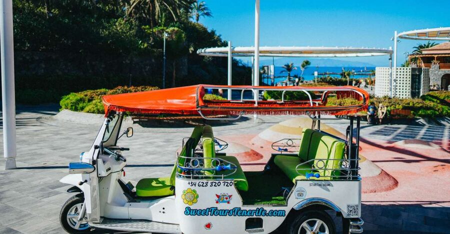 Costa Adeje: Double Tuk Tuk Tour - Fañabe, La Caleta, and the southern villages