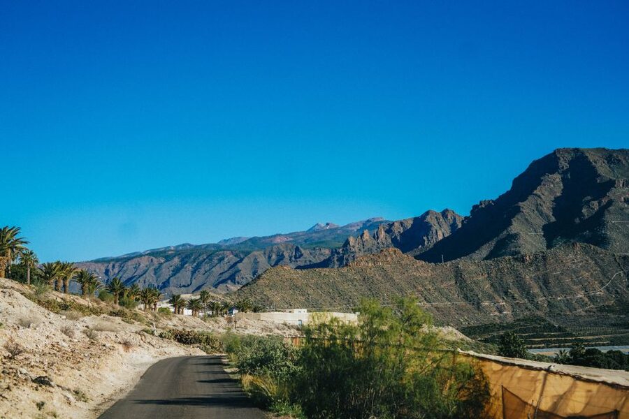 Costa Adeje: Double Tuk Tuk Tour - The guides make the difference