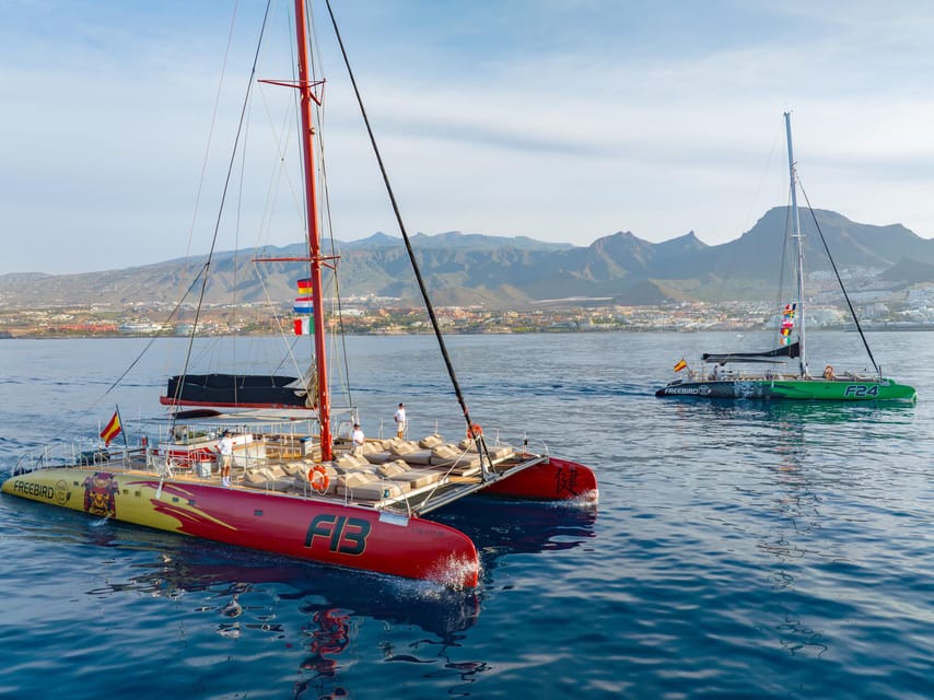 Costa Adeje: Masca and Los Gigantes Whale Watching Cruise - Searching for pilot whales and dolphins offshore