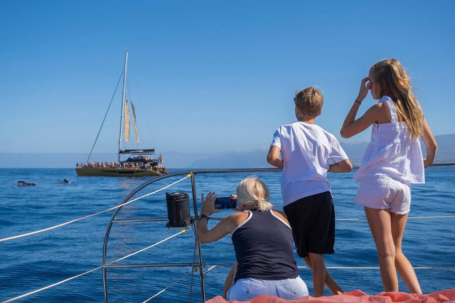 Costa Adeje: Masca and Los Gigantes Whale Watching Cruise - The return sail along Tenerife’s coast