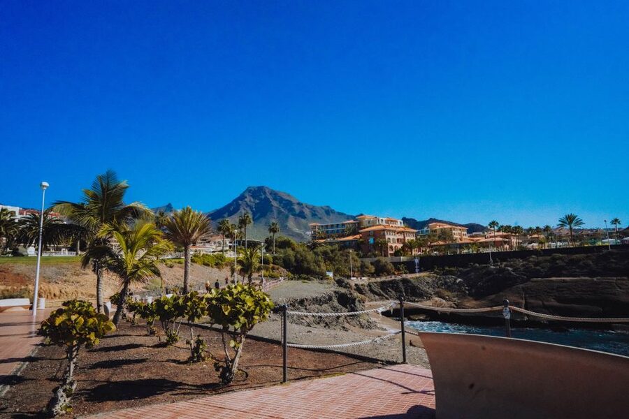 Costa Adeje: Tuk Tuk Tour - Who will get the most from this ride?