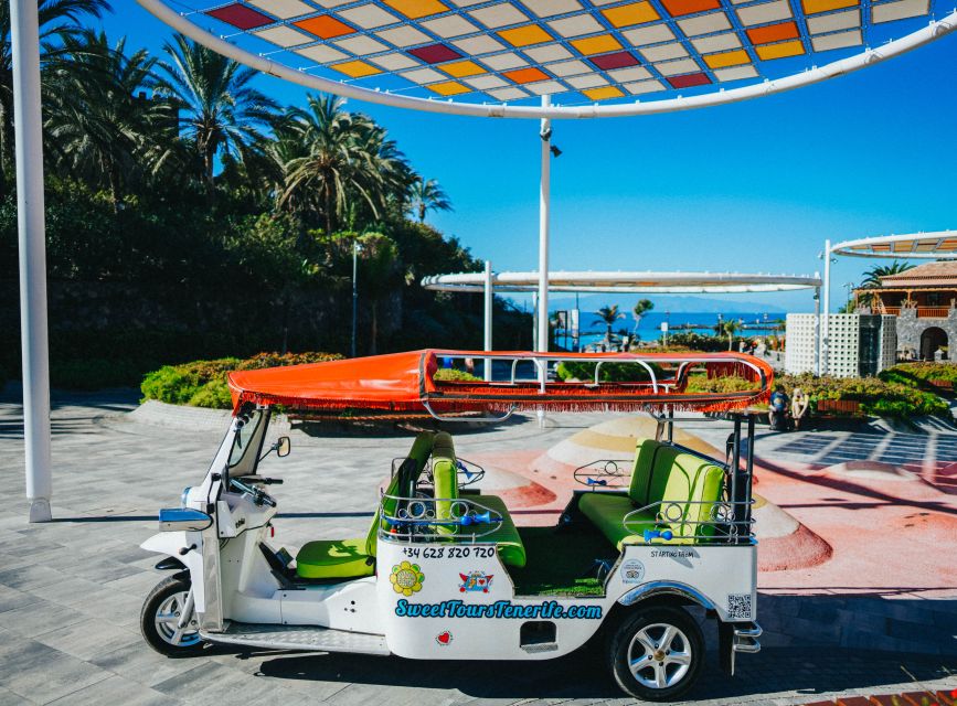 Costa Adeje: Tuk Tuk Tour - Guides are the main reason to book