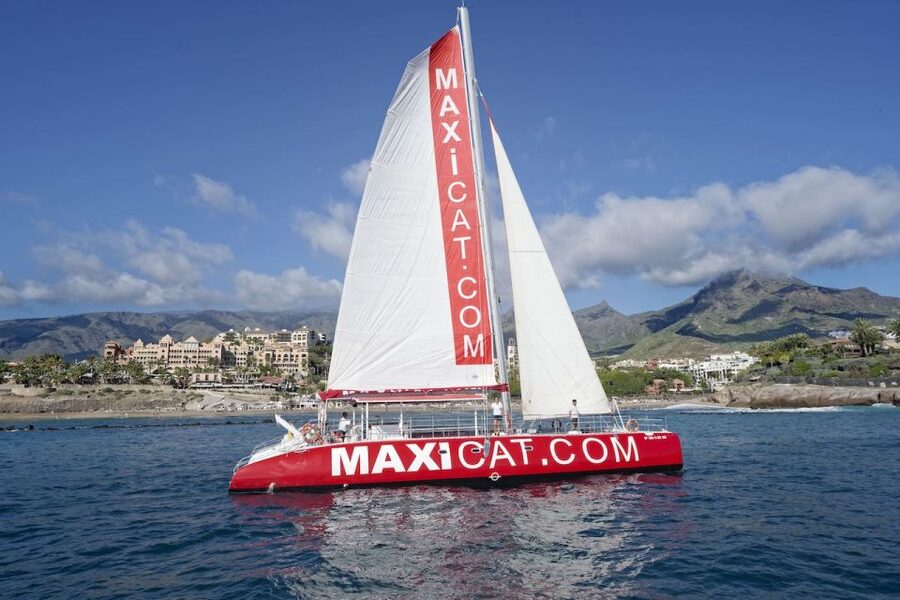 Costa Adeje: Whale and Dolphin Cruise with Food and Pickup - Lunch, sangria, and the Diego Hernandez swim stop