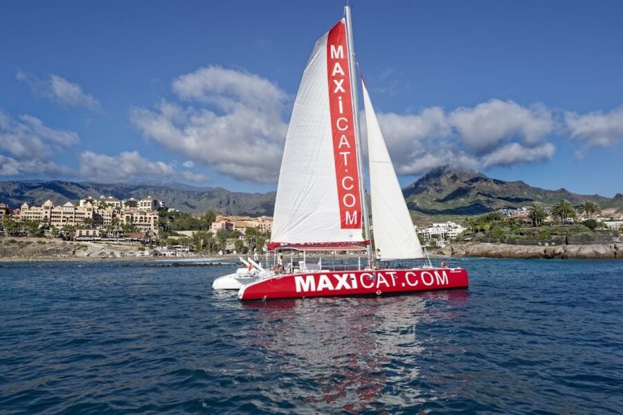 Costa Adeje: Whale and Dolphin Cruise with Food and Pickup - Should you book this Costa Adeje whale cruise?