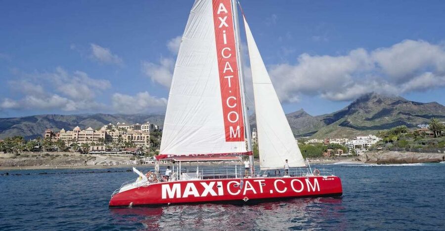 Costa Adeje: Whale and Dolphin Cruise with Food and Pickup - Watching pilot whales in the wild