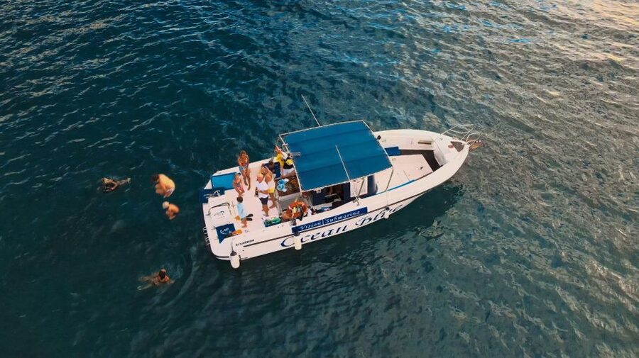 Costa Adeje: Whale and Dolphin-Watching Boat Excursion - Who will enjoy this boat trip most