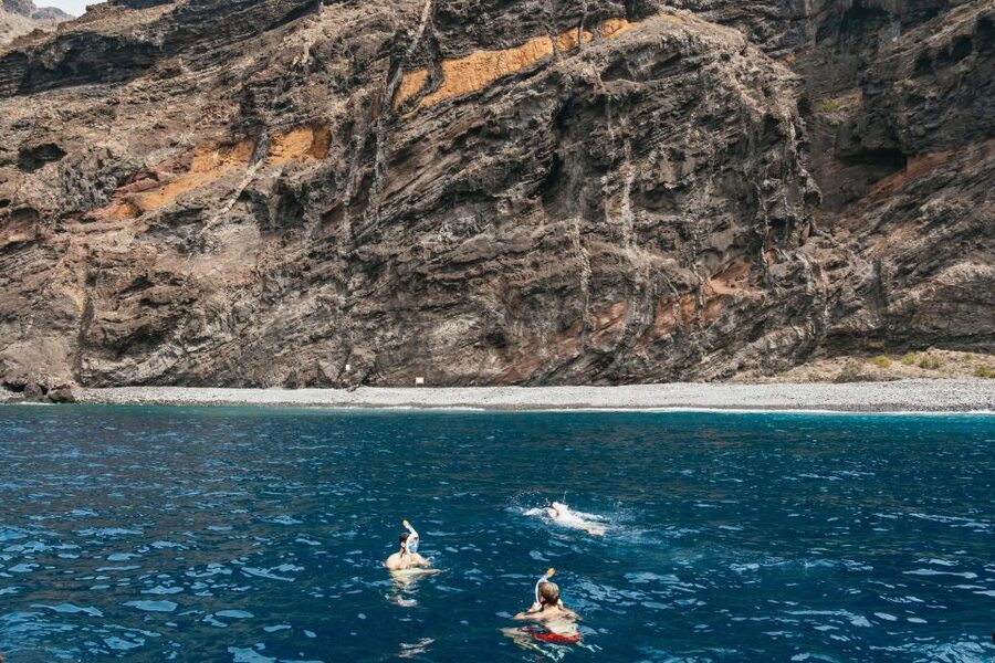 Costa Adeje: Whale & Dolphin Eco-Cruise with Snacks & Drinks - Key points at a glance