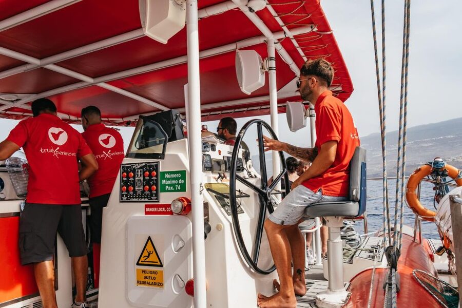 Costa Adeje: Whale & Dolphin Eco-Cruise with Snacks & Drinks - Is $52 good value?