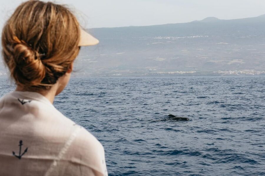 Costa Adeje: Whale & Dolphin Eco-Cruise with Snacks & Drinks - Why this Costa Adeje whale cruise is different