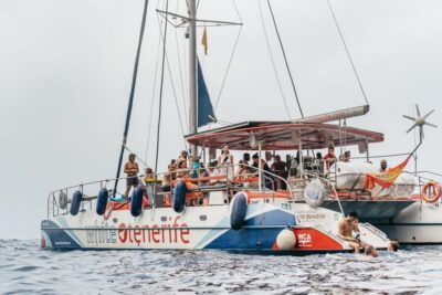 Whale & Dolphin Eco-Cruise with Snacks & Drinks