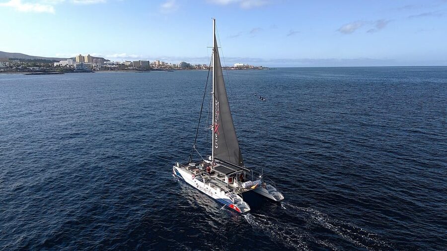 Costa Adeje: Whale & Dolphin Eco-Cruise with Snacks & Drinks - Food, drinks, seating, and service