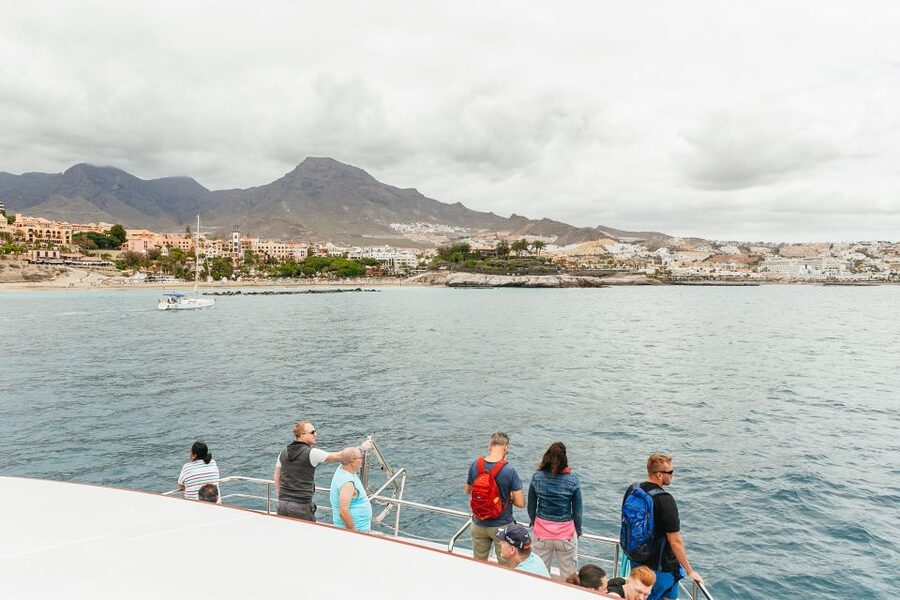 Costa Adeje: Whale & Dolphin Submarine Vision Mini Cruise - Key points at a glance