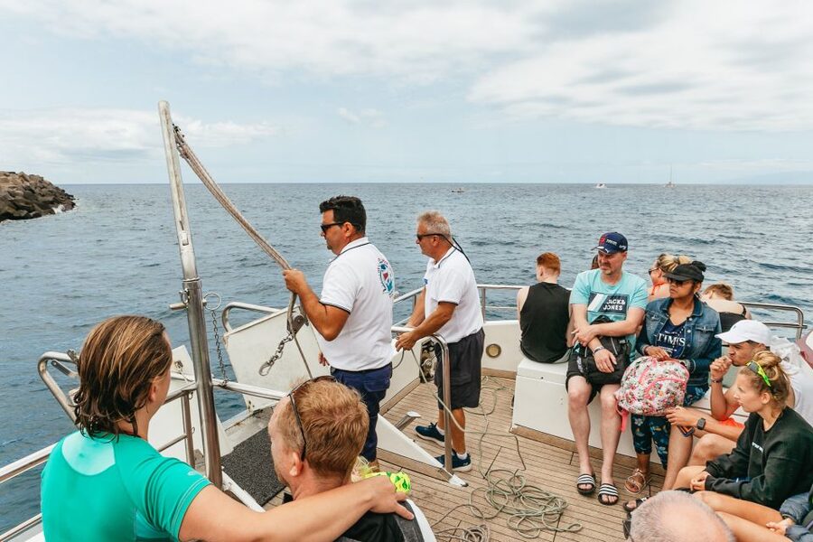 Costa Adeje: Whale & Dolphin Submarine Vision Mini Cruise - What makes the $35 price sensible
