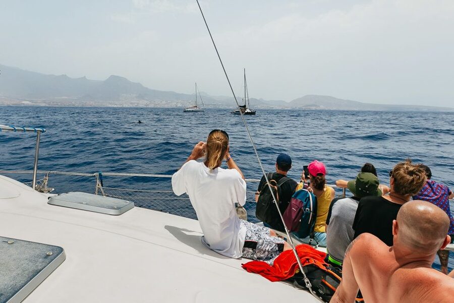 Costa Adeje: Whale Watching Catamaran Tour with Drinks - Who should choose this excursion?