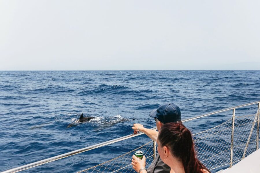 Costa Adeje: Whale Watching Catamaran Tour with Drinks - The three-hour option adds a swim at Playa Espagueti