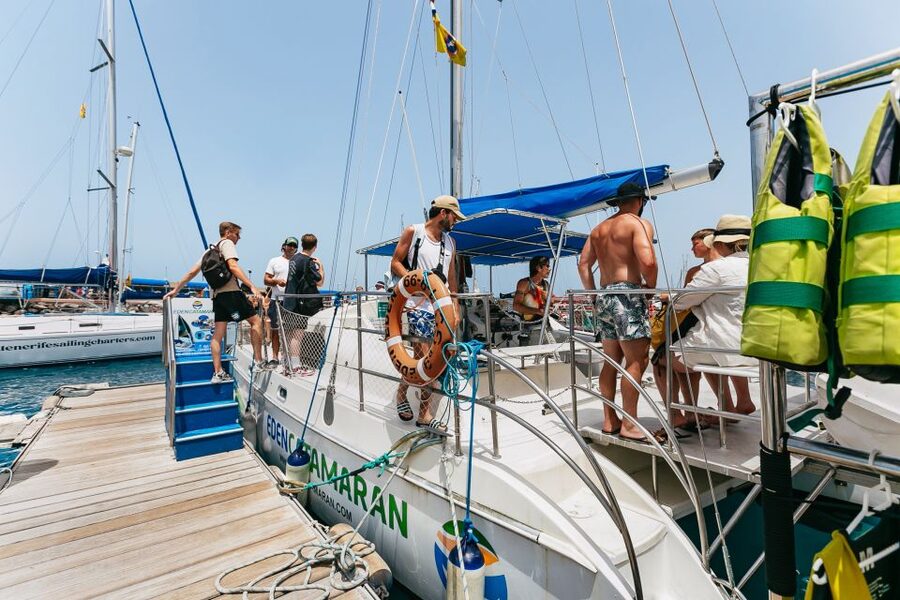 Costa Adeje: Whale Watching Catamaran Tour with Drinks - Why the whale sightings feel special