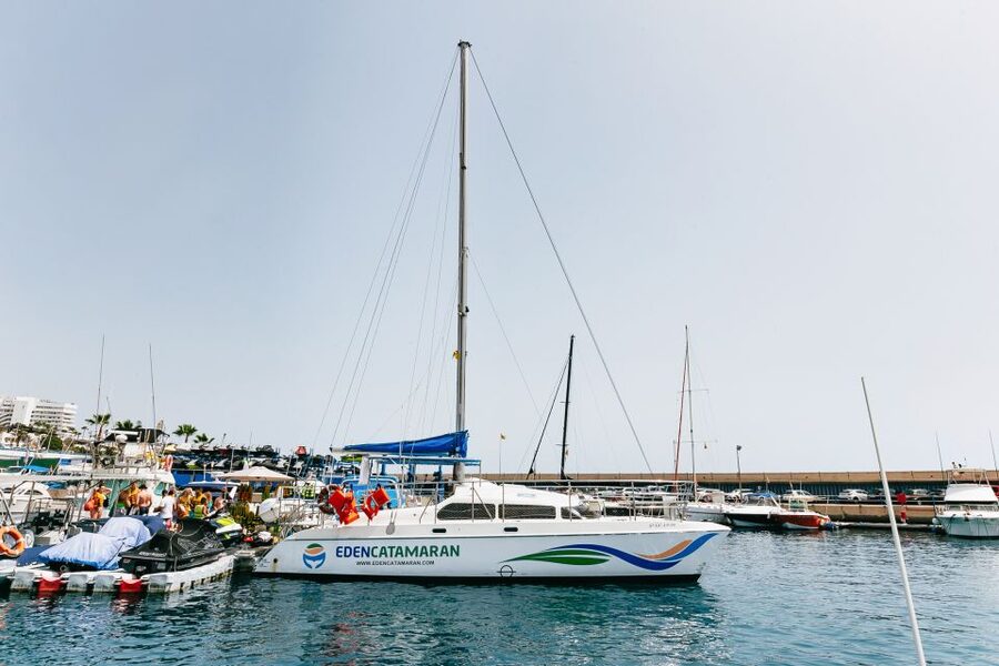 Costa Adeje: Whale Watching Catamaran Tour with Drinks - The catamaran, capacity, and comfort