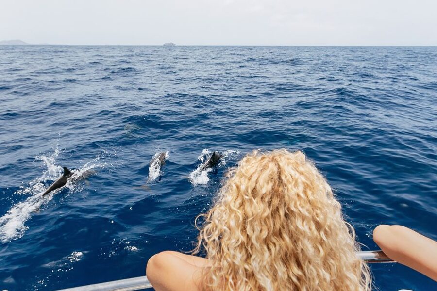 Costa Adeje: Whale Watching Catamaran Tour with Drinks - The crew makes the difference