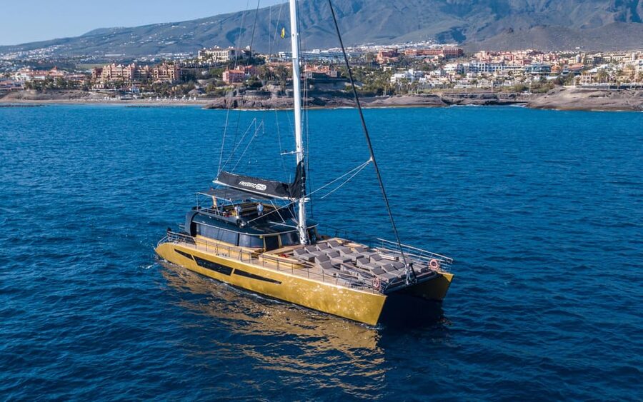 Costa Adeje: Whale Watching Cruise - Sailing south from Costa Adeje