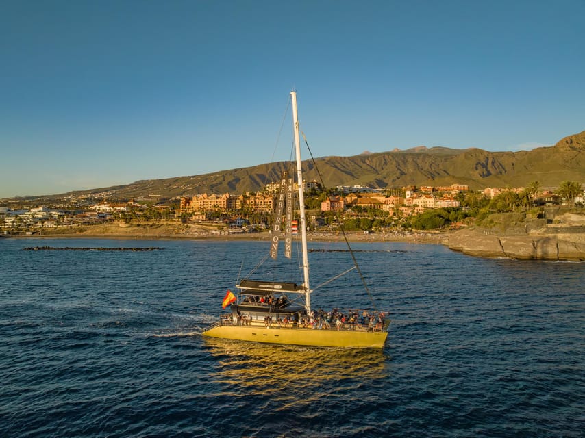 Costa Adeje: Whale Watching Cruise - Looking for pilot whales and dolphins