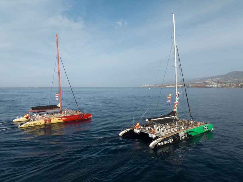 Costa Adeje: Whale Watching Cruise - What you actually eat and drink