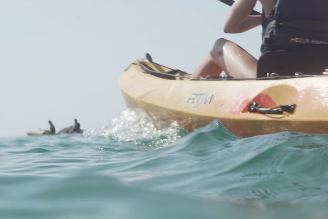 Costa Brava: Kayak, Snorkel, Photos, Lunch, Beach & Cliff Jump! - Snorkeling, sea life, and the optional cliff jump