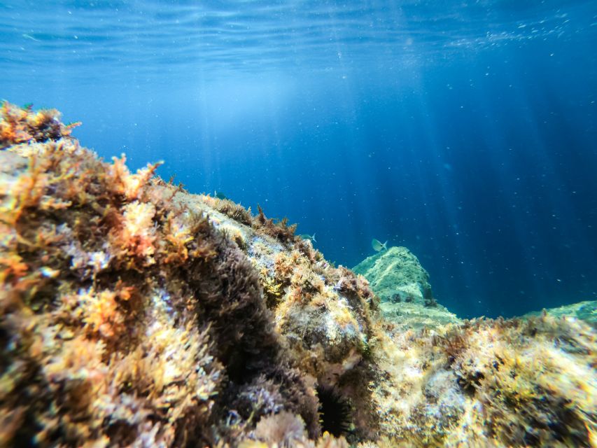 Costa Brava: Sea Caves Kayaking and Snorkeling Tour - Practical tips for a smoother outing