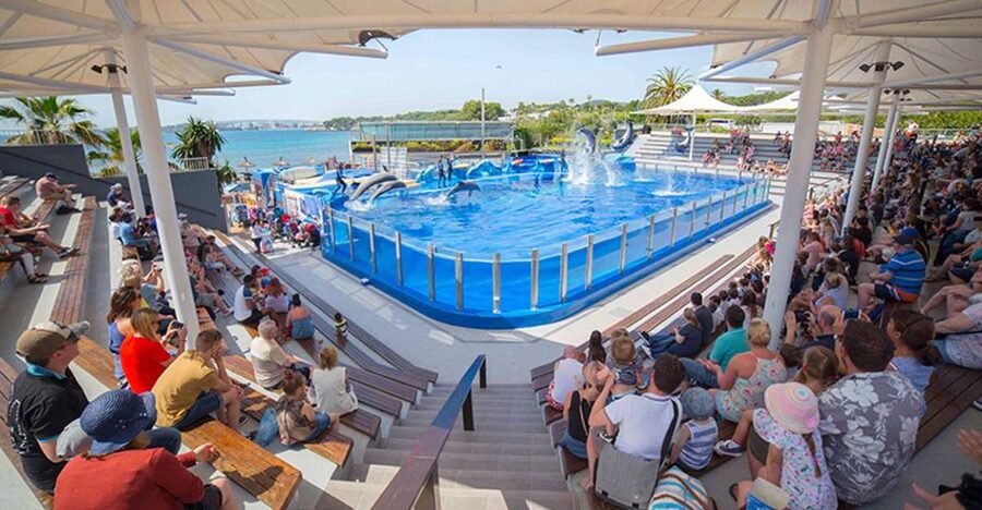 Costa d'en Blanes: Entry Ticket for Marineland Mallorca - Three aquariums offer a calmer change of pace
