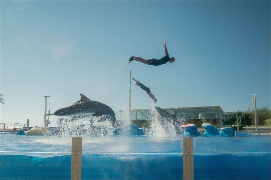 Costa d'en Blanes: Entry Ticket for Marineland Mallorca - How long should you plan to stay?