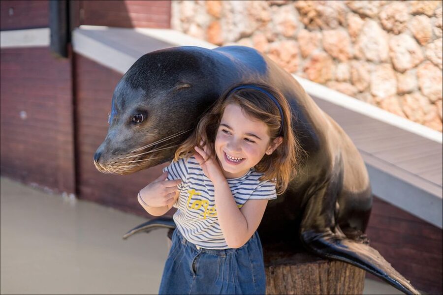 Costa d'en Blanes: Entry Ticket for Marineland Mallorca - What the $35 ticket really gives you