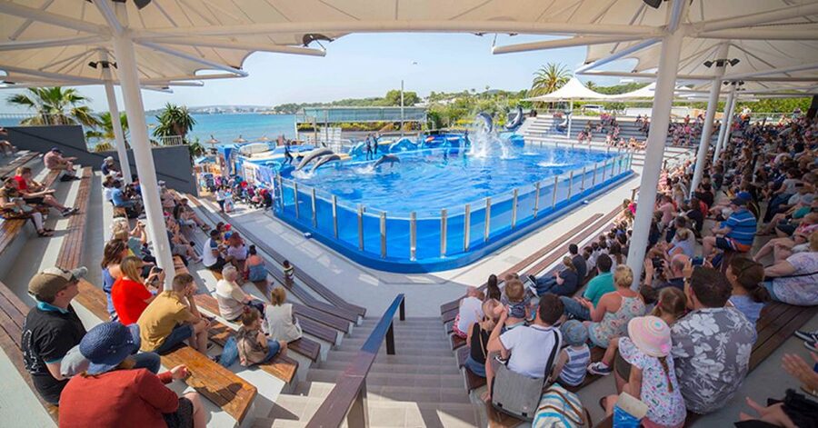 Costa d'en Blanes: Entry Ticket for Marineland Mallorca - Sea lions and birds keep the program moving