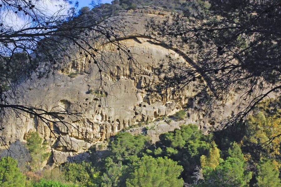 Costa del Sol: Caminito del Rey Guided Trip - Practical preparation for a better day