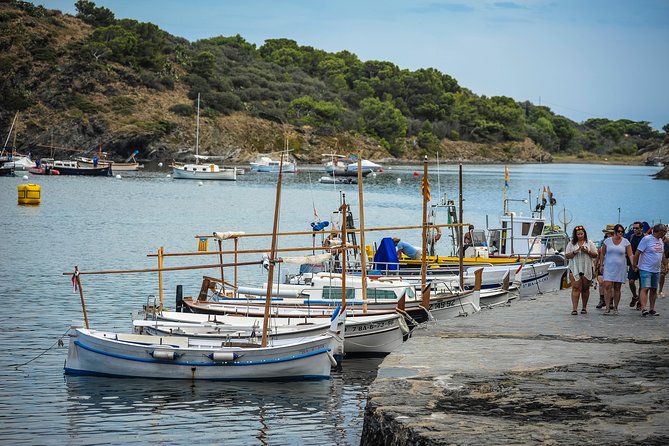 Dali Museum, House & Cadaques Small Group Tour from Barcelona - Who should book this day trip
